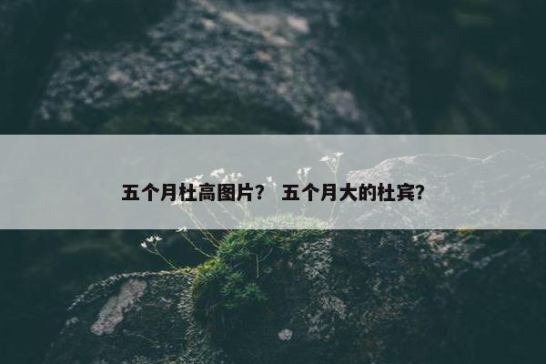杜高 第10页