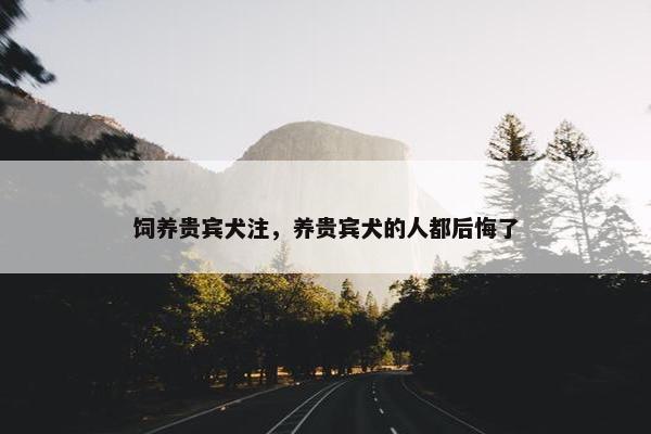 饲养贵宾犬注，养贵宾犬的人都后悔了