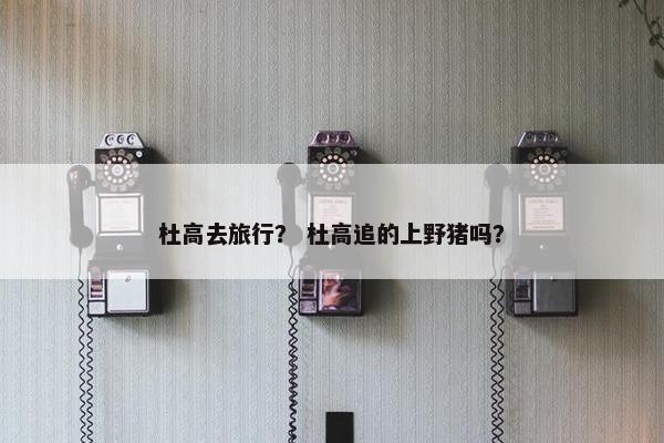 杜高去旅行？ 杜高追的上野猪吗？