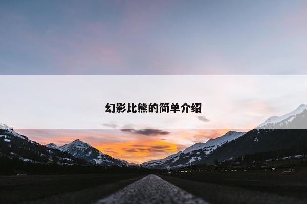 幻影比熊的简单介绍