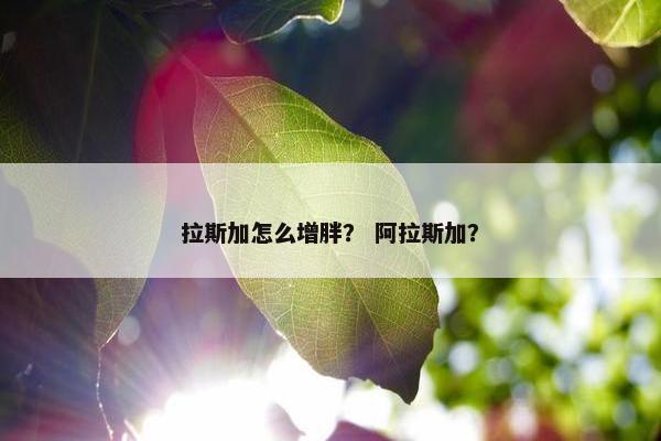 拉斯加怎么增胖？ 阿拉斯加？