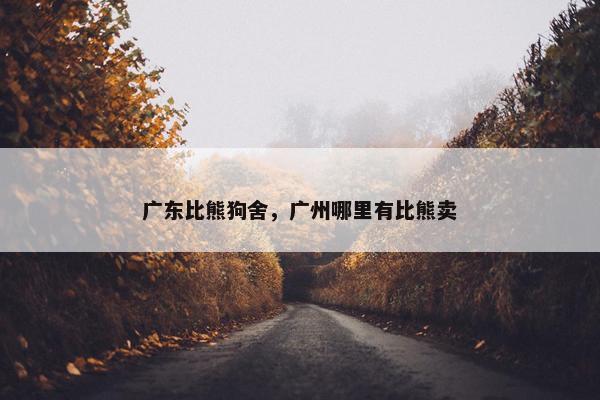 广东比熊狗舍，广州哪里有比熊卖