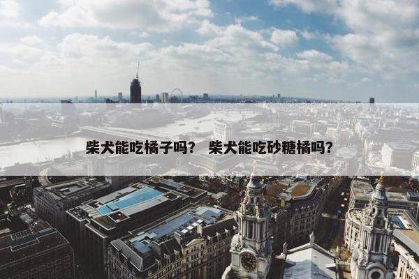 柴犬能吃橘子吗？ 柴犬能吃砂糖橘吗？