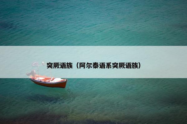 突厥语族（阿尔泰语系突厥语族）