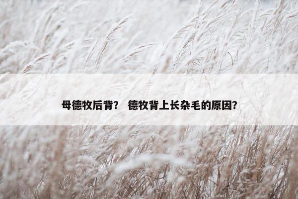 母德牧后背？ 德牧背上长杂毛的原因？