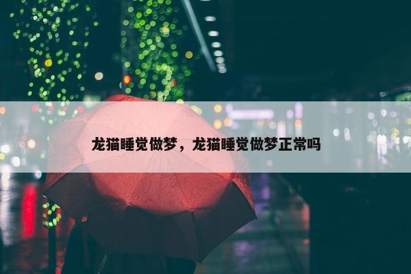 龙猫睡觉做梦，龙猫睡觉做梦正常吗