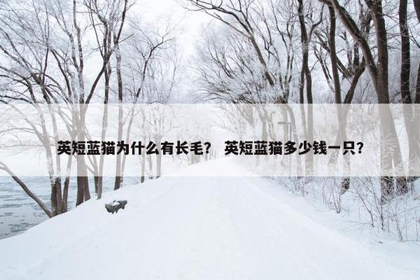 英短蓝猫为什么有长毛？ 英短蓝猫多少钱一只？