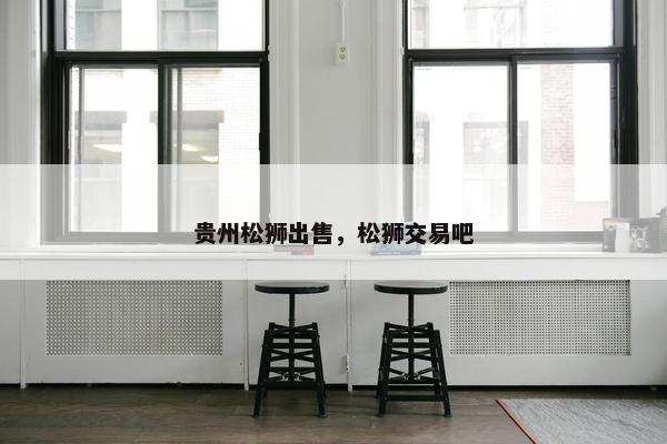 贵州松狮出售，松狮交易吧