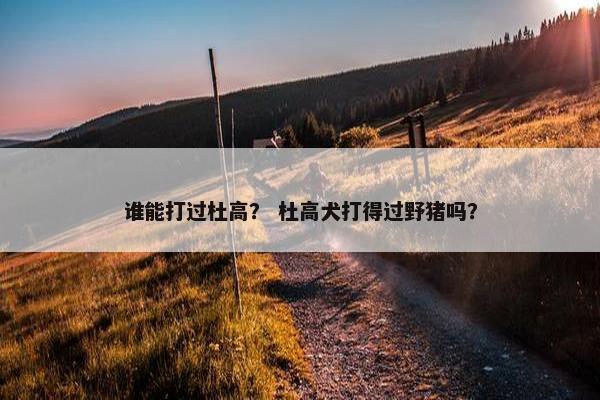 谁能打过杜高？ 杜高犬打得过野猪吗？
