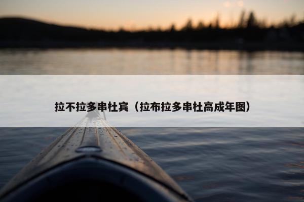拉不拉多串杜宾（拉布拉多串杜高成年图）
