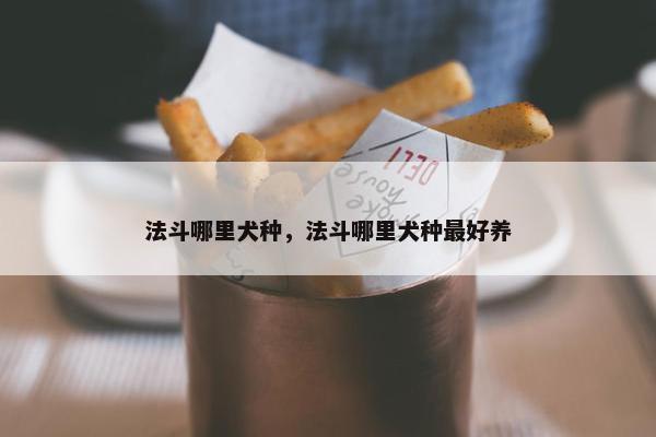 法斗哪里犬种，法斗哪里犬种最好养