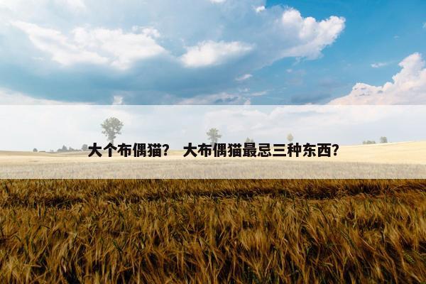大个布偶猫？ 大布偶猫最忌三种东西？