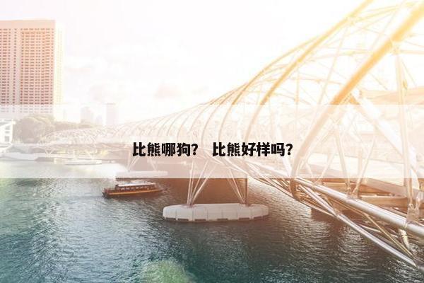 比熊哪狗？ 比熊好样吗？
