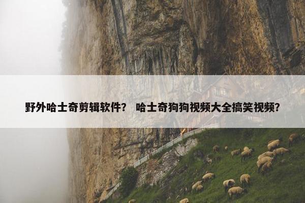 野外哈士奇剪辑软件？ 哈士奇狗狗视频大全搞笑视频？