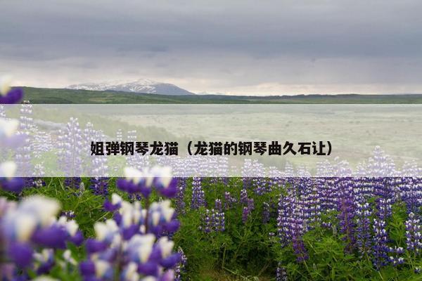 姐弹钢琴龙猫（龙猫的钢琴曲久石让）