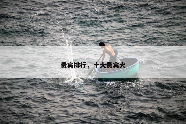 贵宾排行，十大贵宾犬