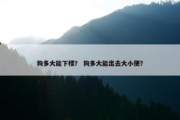 狗多大能下楼？ 狗多大能出去大小便？