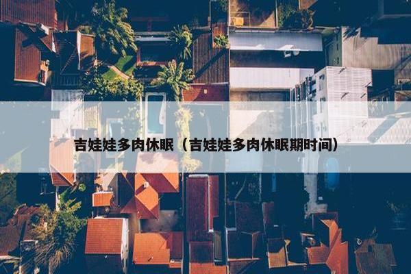 吉娃娃多肉休眠（吉娃娃多肉休眠期时间）