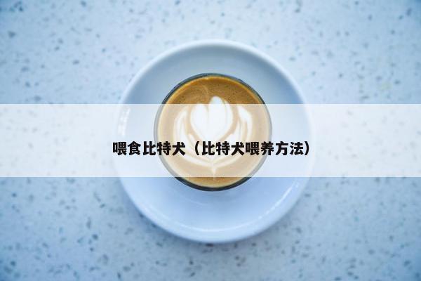 喂食比特犬（比特犬喂养方法）
