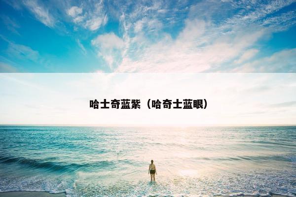 哈士奇蓝紫（哈奇士蓝眼）