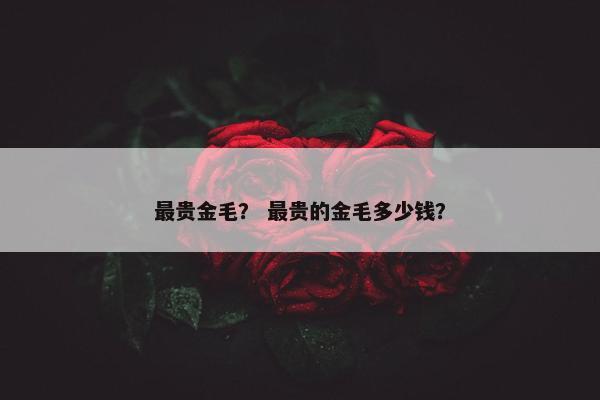 最贵金毛？ 最贵的金毛多少钱？