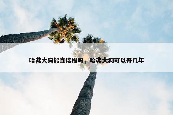 哈弗大狗能直接提吗，哈弗大狗可以开几年