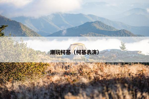 潮玩柯基（柯基表演）