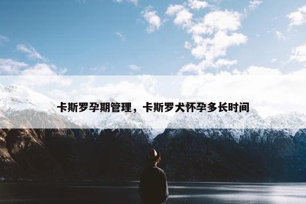 卡斯罗孕期管理，卡斯罗犬怀孕多长时间
