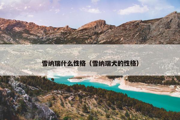 雪纳瑞什么性格（雪纳瑞犬的性格）