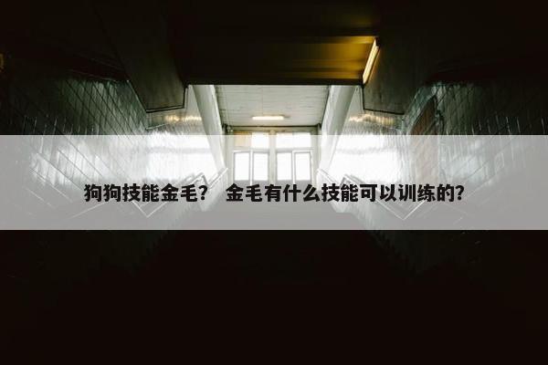 狗狗技能金毛？ 金毛有什么技能可以训练的？