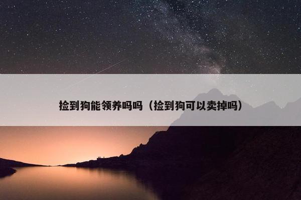 捡到狗能领养吗吗（捡到狗可以卖掉吗）