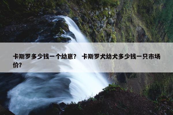 卡斯罗多少钱一个幼崽？ 卡斯罗犬幼犬多少钱一只市场价？