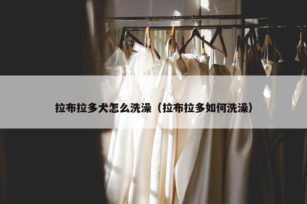 拉布拉多犬怎么洗澡（拉布拉多如何洗澡）