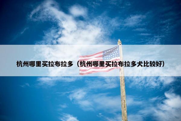 杭州哪里买拉布拉多（杭州哪里买拉布拉多犬比较好）