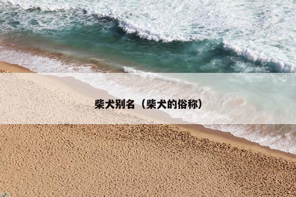 柴犬别名（柴犬的俗称）