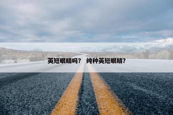 英短眼睛吗？ 纯种英短眼睛？
