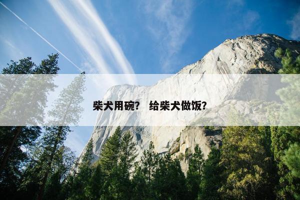 柴犬用碗？ 给柴犬做饭？