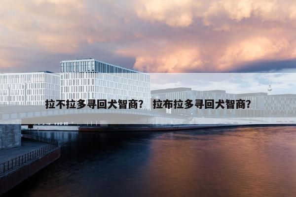 拉不拉多寻回犬智商？ 拉布拉多寻回犬智商？