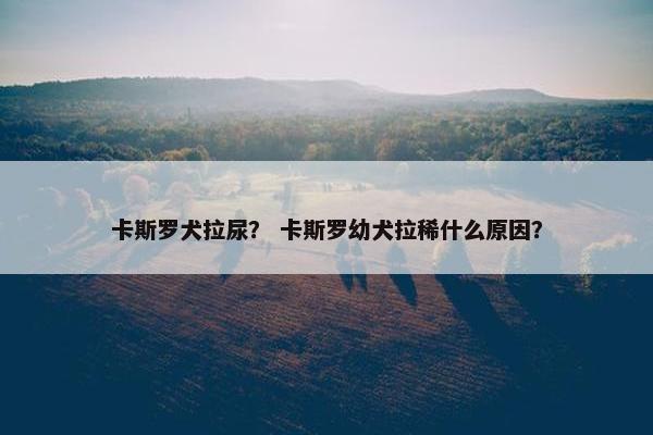 卡斯罗犬拉尿？ 卡斯罗幼犬拉稀什么原因？