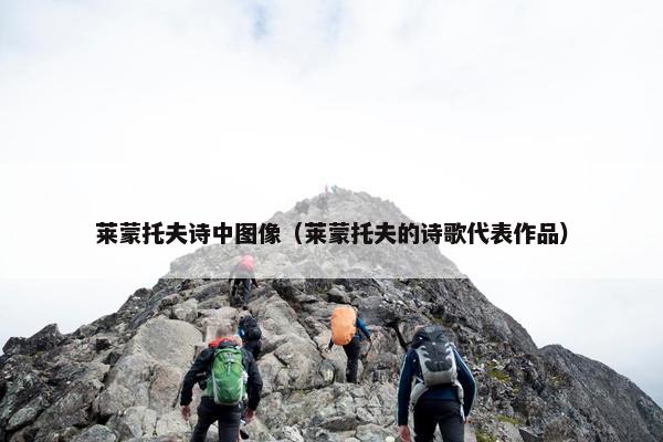 托夫