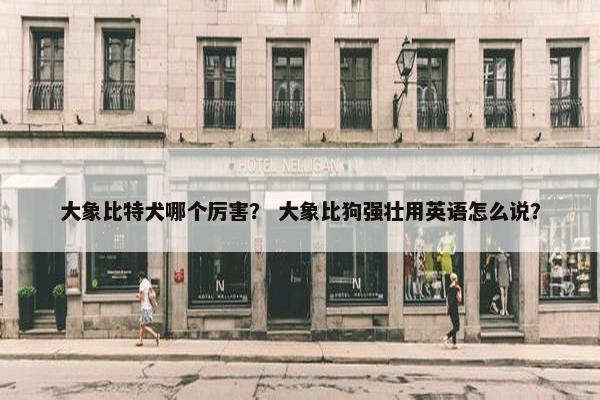 大象比特犬哪个厉害？ 大象比狗强壮用英语怎么说？