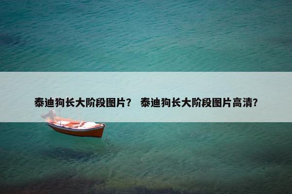 泰迪狗长大阶段图片？ 泰迪狗长大阶段图片高清？