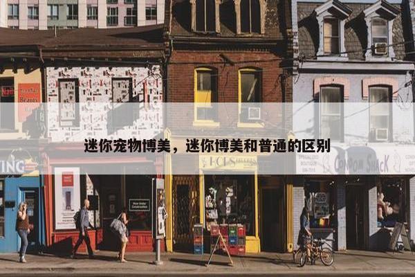 迷你宠物博美，迷你博美和普通的区别