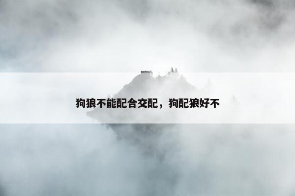 狗狼不能配合交配，狗配狼好不