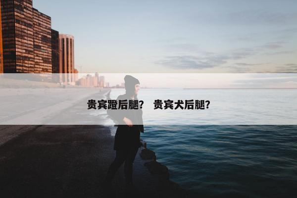 贵宾蹬后腿？ 贵宾犬后腿？