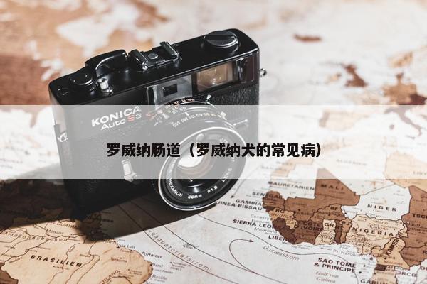 罗威纳肠道（罗威纳犬的常见病）