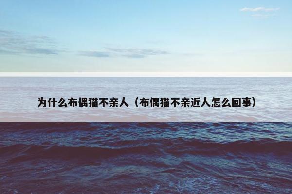为什么布偶猫不亲人（布偶猫不亲近人怎么回事）