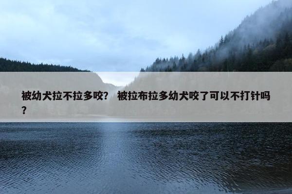 被幼犬拉不拉多咬？ 被拉布拉多幼犬咬了可以不打针吗？