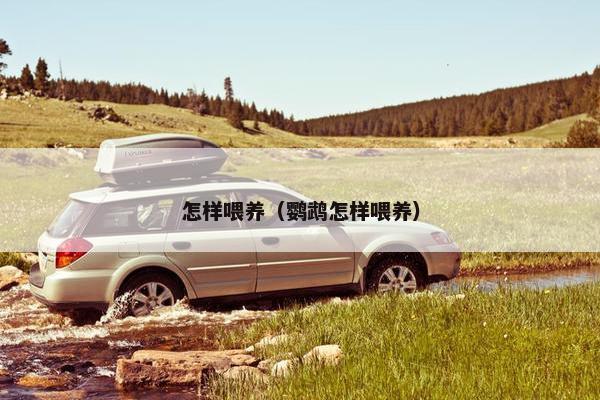 怎样喂养（鹦鹉怎样喂养）
