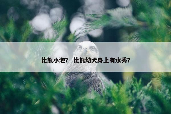 美容